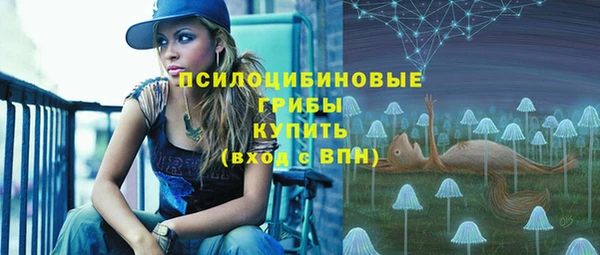 молекула духа Алексин