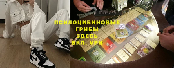 молекула духа Алексин